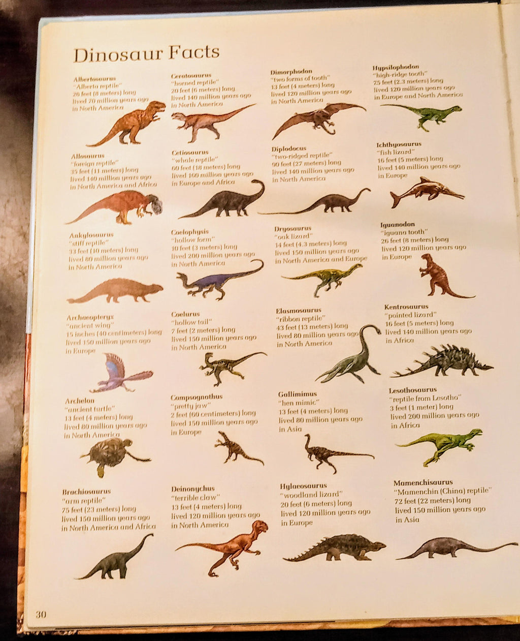 Vintage Dinosaur & Prehistoric Animals Book Lot | 3 First Edition 1988–1993