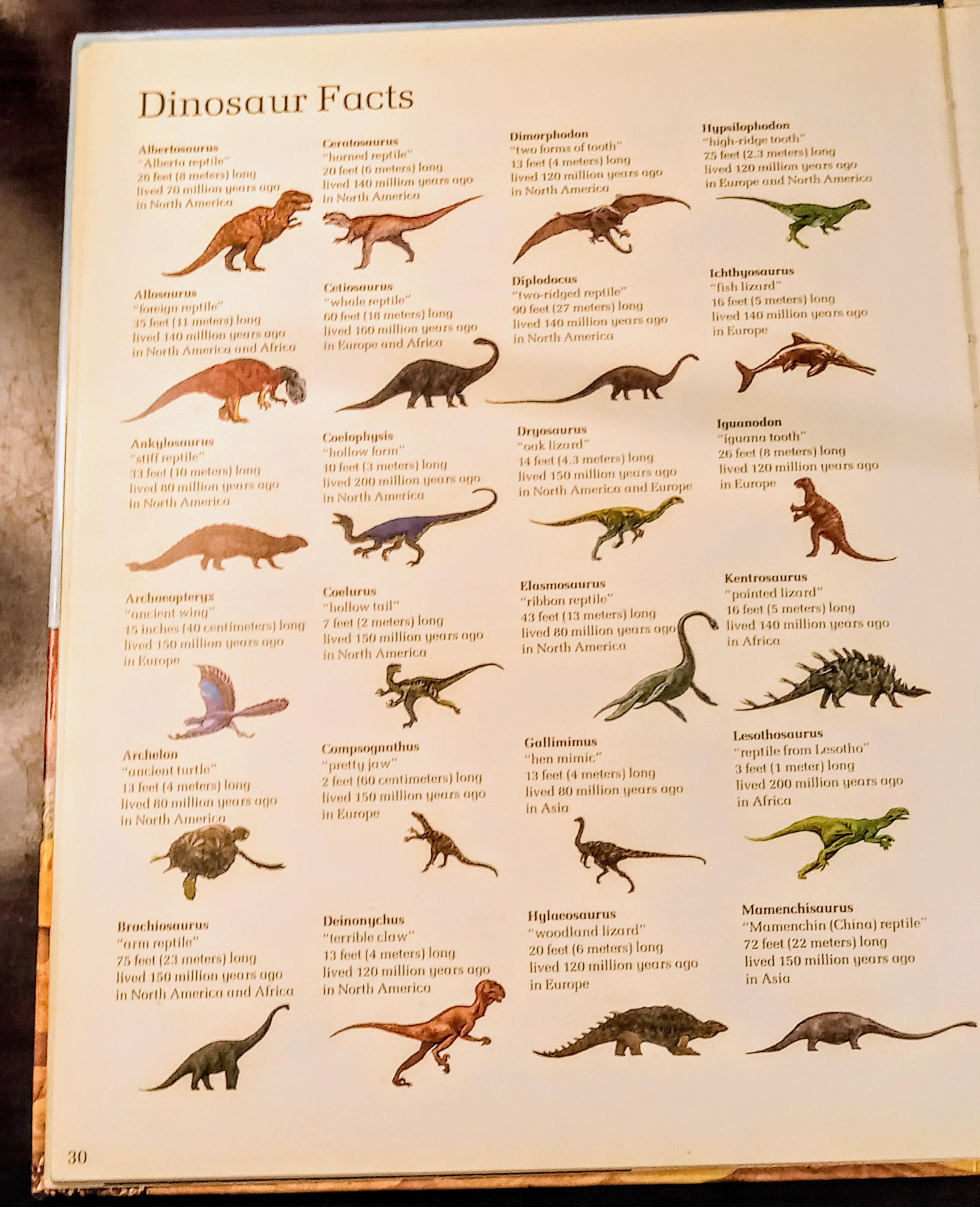 Vintage Dinosaur & Prehistoric Animals Book Lot | 3 First Edition 1988–1993