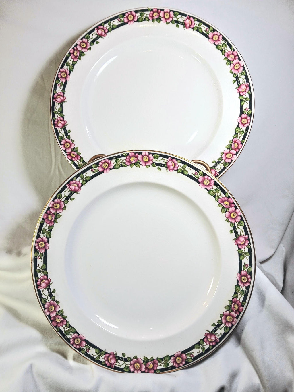 Pair of Antique Booths Silicon China Dinner Plates, England c. 1895–1910